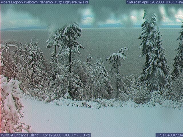 April 19, 2008 ?!??!?!?!?!
