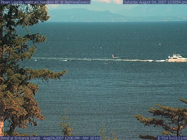 First windsurfer caught on the Pipers Cam
