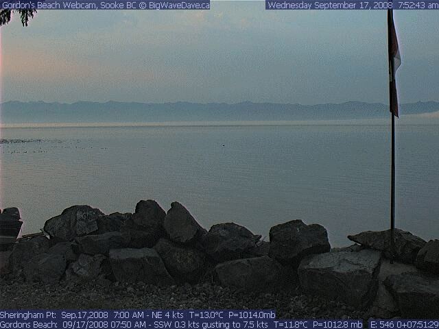 Gordon's Fog Animation
