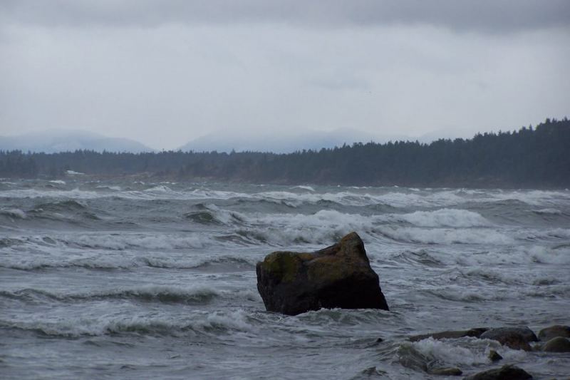 Creature from the..
all sorts of fun just waiting for someone
