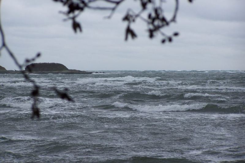 Creature from the..
it was very E, would have been even better on SE or SSE
