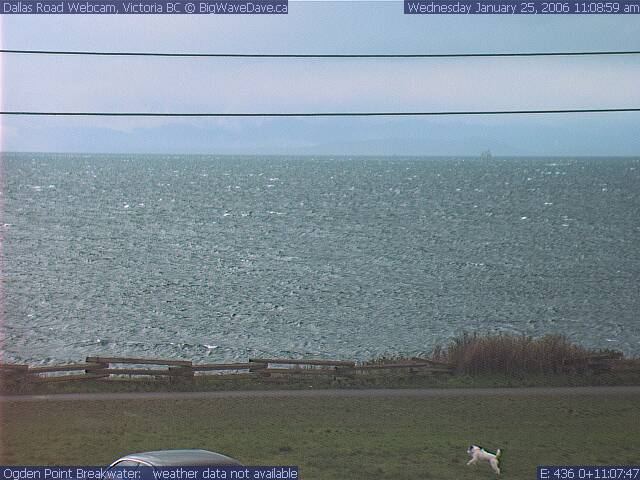 'Jack' jumps for joy as west wind arrives
