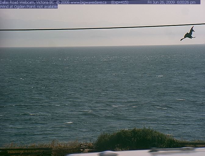 Prototype spotted
Future kite !!!
