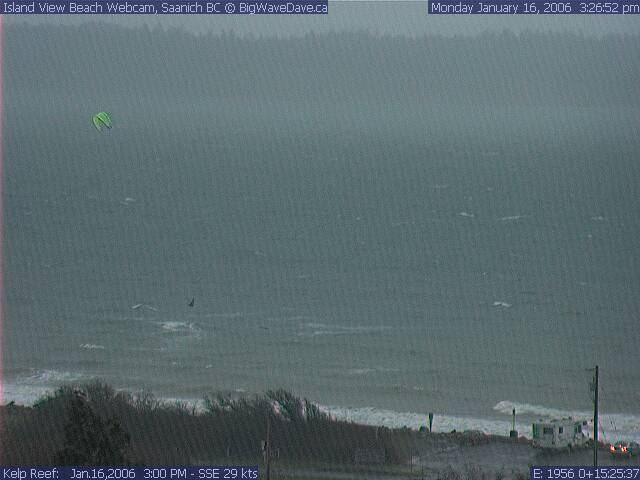 Grant M. ......Air miles.........8M
