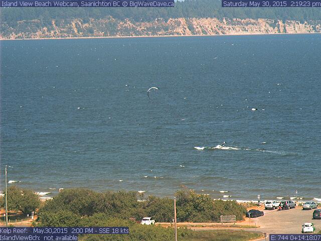 Late Spring !!!
Joe & Speedy score
