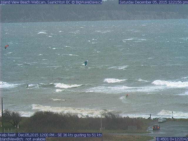 Kelp S.E. 31 gusting 62 @ 11 !!!
