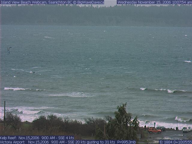 Pineapple weather !!!
