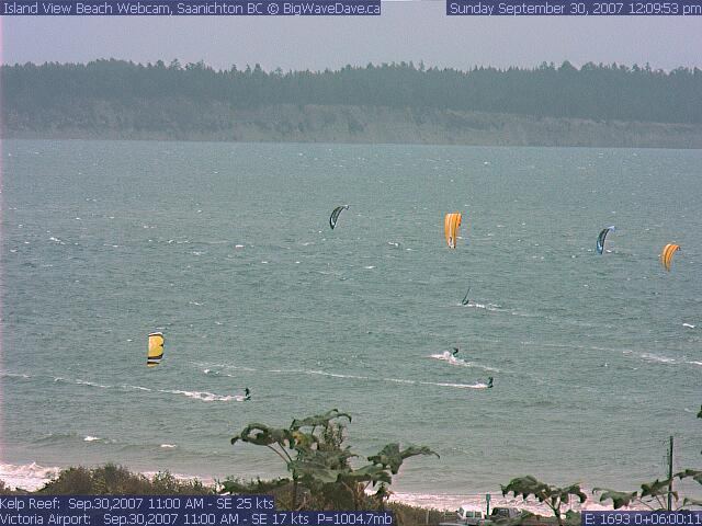 The 'model' gets it right.
