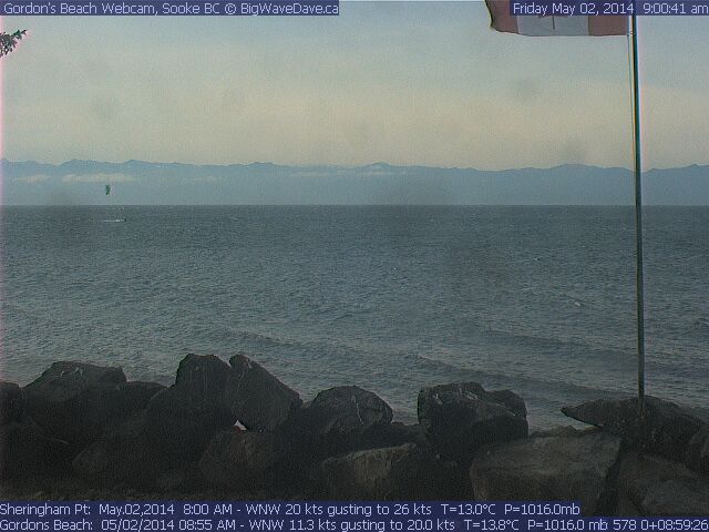 Early Bird enjoying his worm
