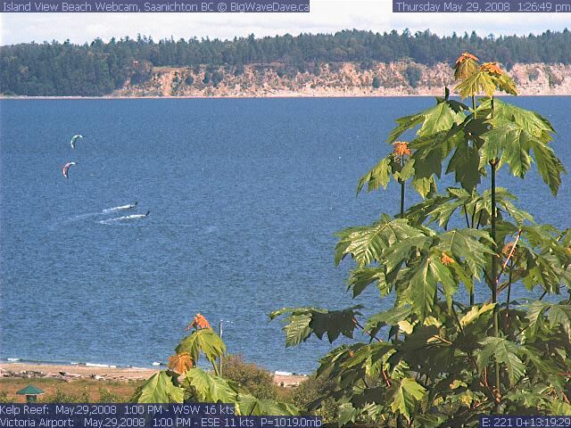 10 & 12 m RISE cruising
