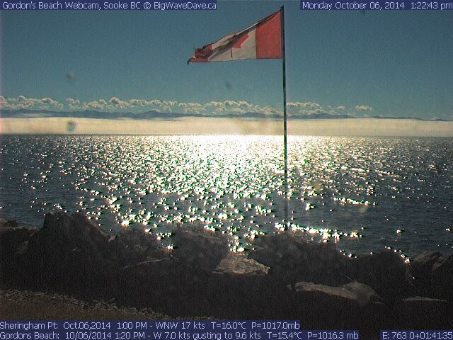 Sunny Fall Westerly
This is why I have a 14.5
