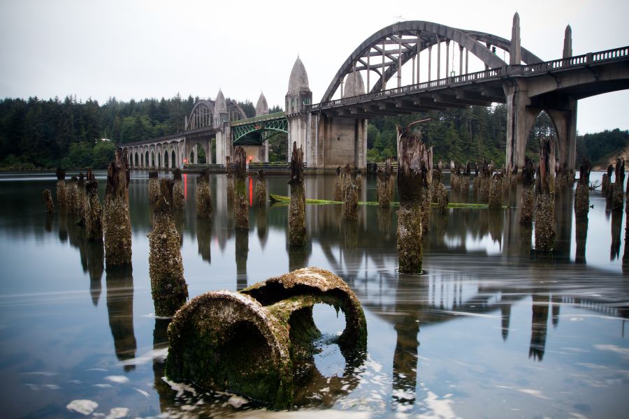 Florence Bridge at night (LE)

