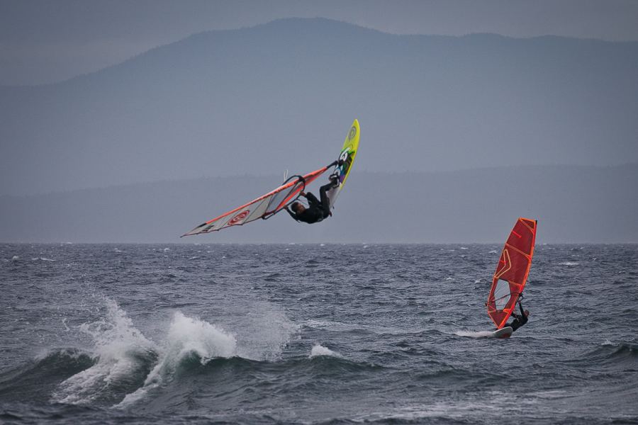 WDDC backie 1
Wingnut photo
