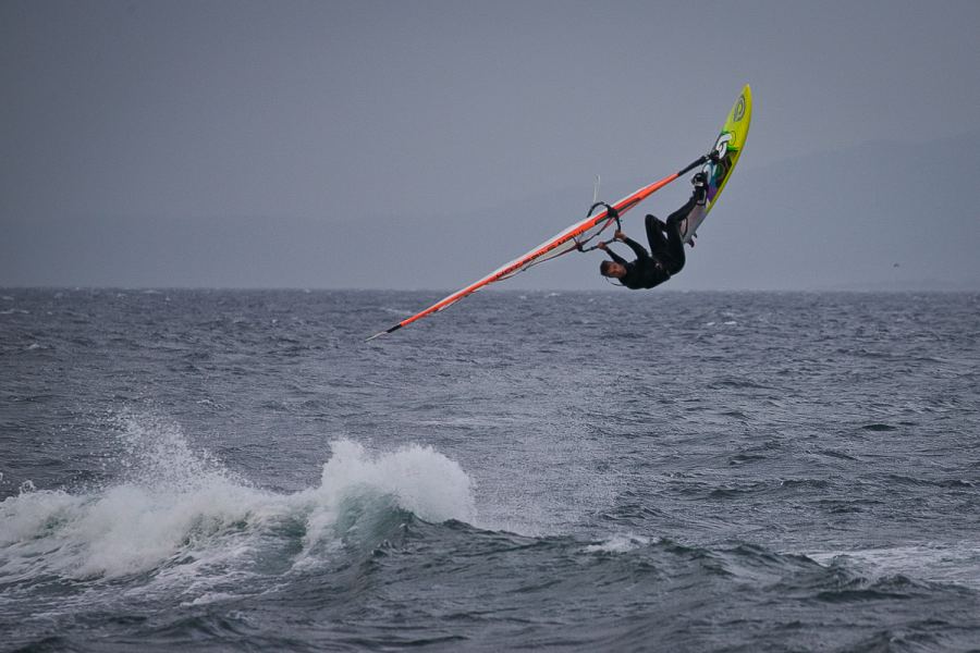 WDDC Backie
Wingnut photo
