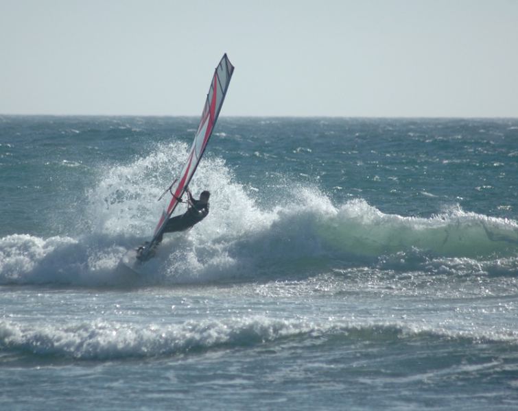 Winddoc Pistol-whipped
Steph photo
