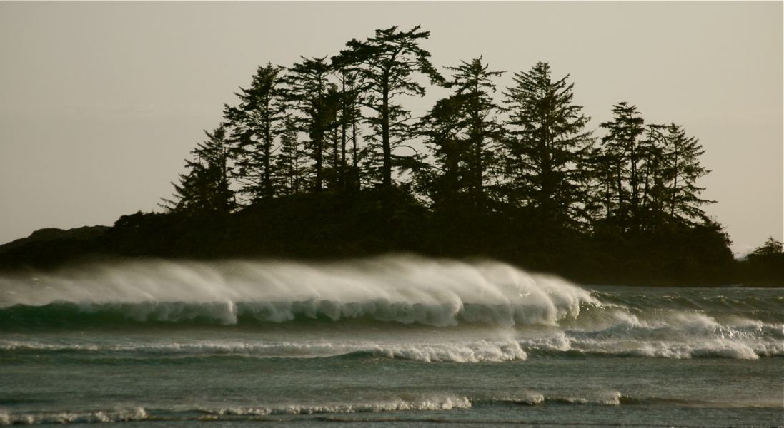 steph photo
Double click for best quality
