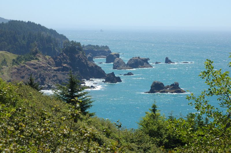 South Oregon coast
