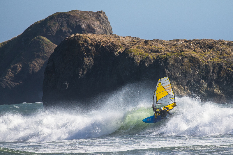 jesse
Mark Law Photo
