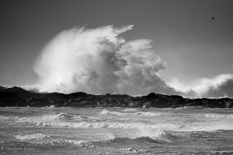 S swell, NW wind, smash!
