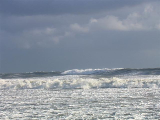 a lonely wave wishing for a rider
