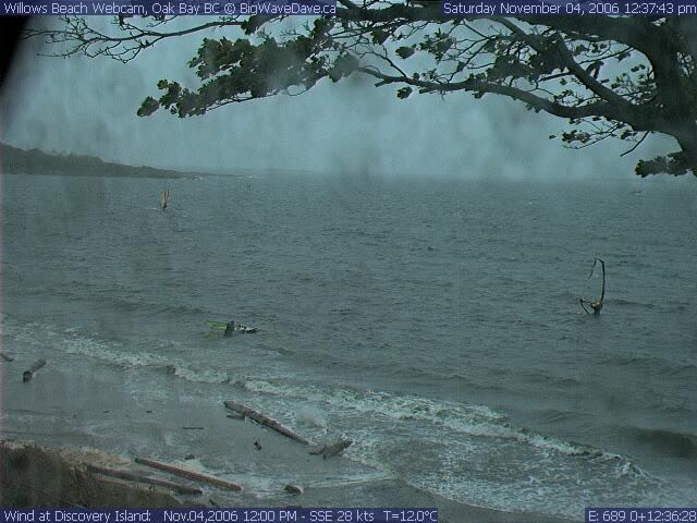 mf4 trying to sail while waist-deep
