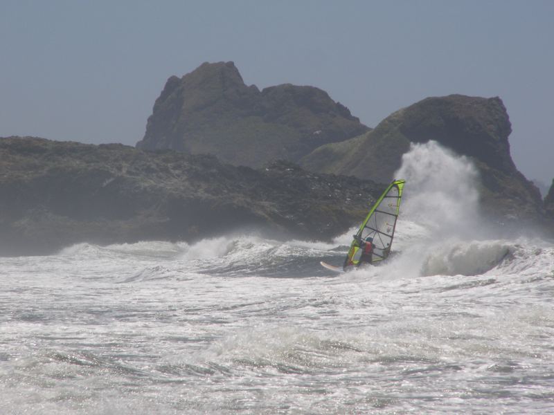 Janet fearless DTL
Jellyfish pic, 1st Oregon trip
