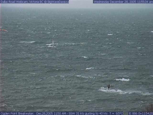 The LONE kiter!  Good job in 40 knots!
