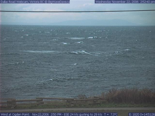 One that got away
No one caught these did they?
