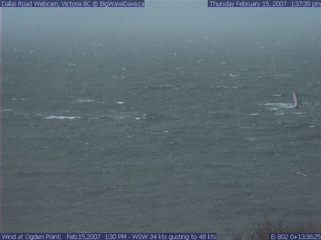 chop riding, gusting 48
