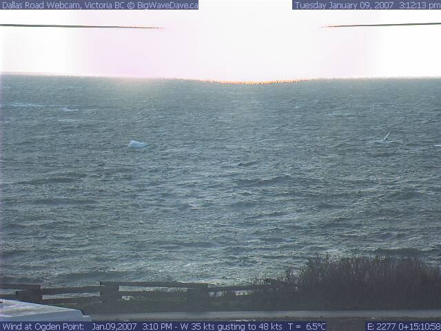 Grant Watson Jan09, 35 gusting 48
