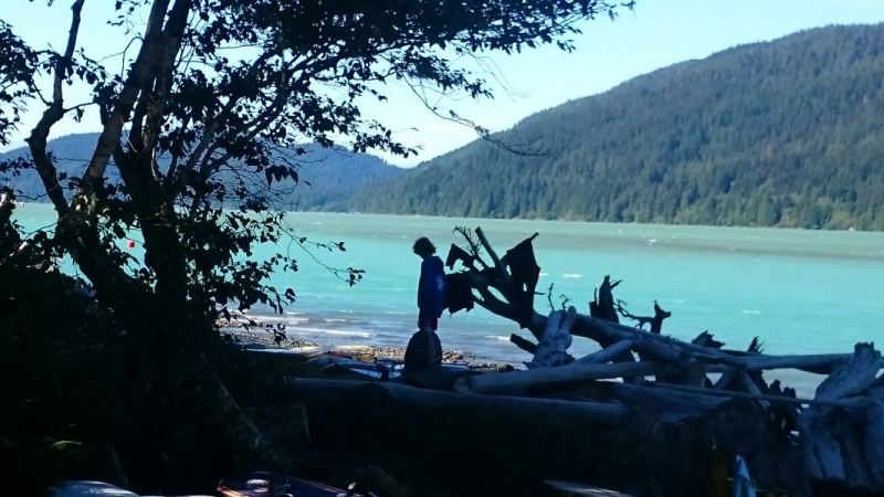 Summer perfection
Warm summer breeze, kids playing on the logs, the amazing water colour this weekend.
