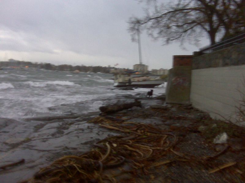 Grunge tri dragged ashore, Willows
