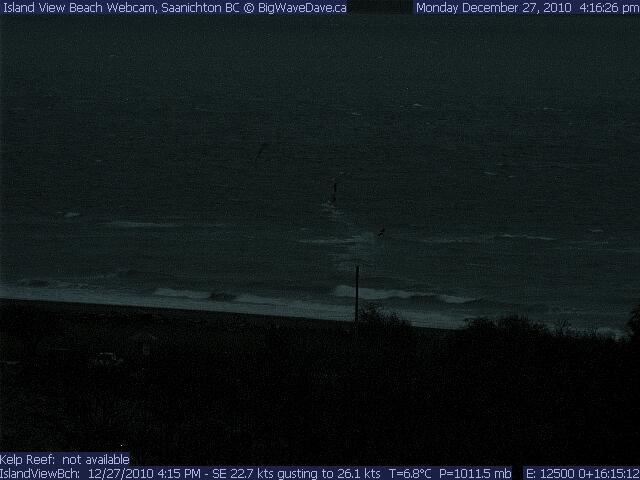 Winter night winds; theres a kiter and windsurfer in there somewhere!
