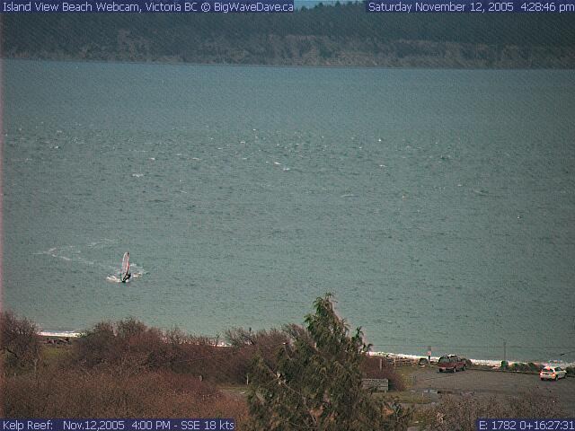 November evening sail
S-turns to catch waves
