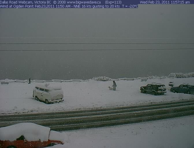 Whitecap alert, Dallas!
There really are whitecaps on the water as well as on the cars!
