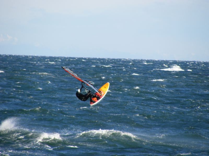 Shaggy at Agate 6/12/09
