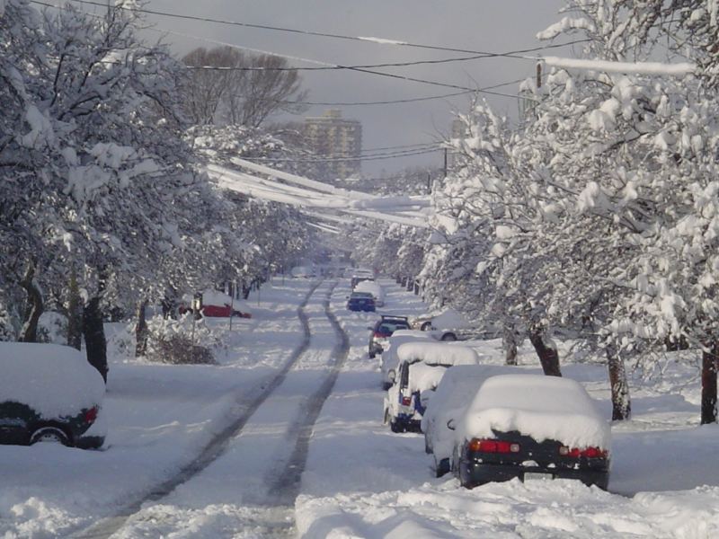 Shark bait rippen up some snow""
