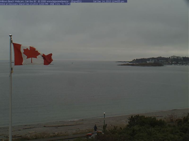 1st image, new location
Fitting to have a little SE Canadian breeze :)
