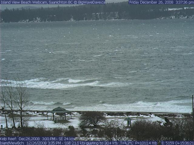 Lonely Day at the Beach
