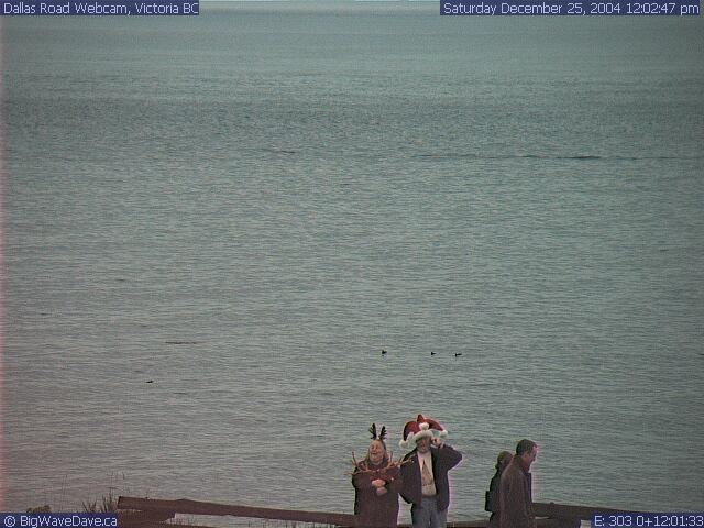 Kook Webcam X-mas
Christmas Eve spirit @ Dallas
