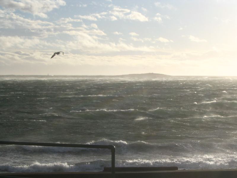 Willows Dec 22 during White Smoke spell
"...er, this doesn't look like 15 knots to me..."
