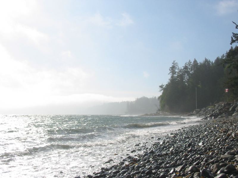 Gordo's Fogbank Rocked!!
