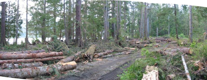 The Mayor's Spot is now much sunnier
