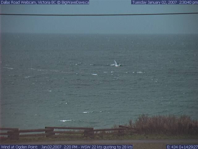 Odyssey cashing in on a lonely wave during a lull
(couldda been Hoser too, hard to say, but I think it's Mark)
