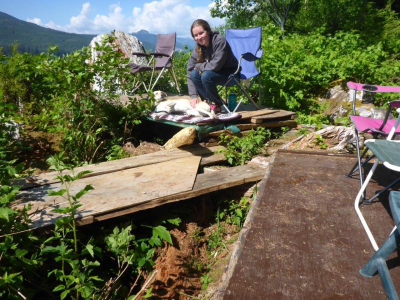 Upper doggie & owner deck is open for business
British Properties
