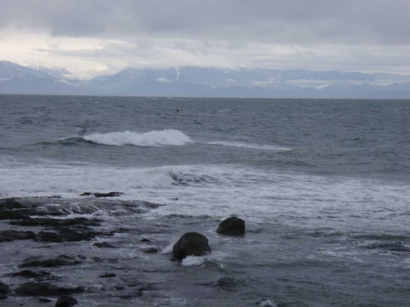 ULR & Stickman Shags in the blurr
