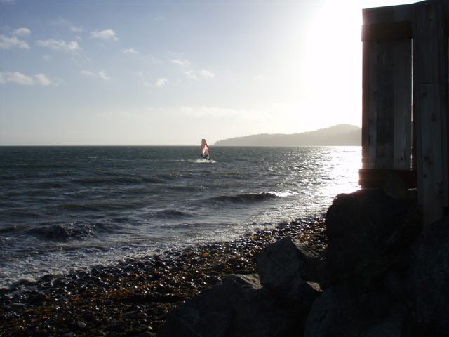 Moo Late in the Game, Gordos ~8:15pm
