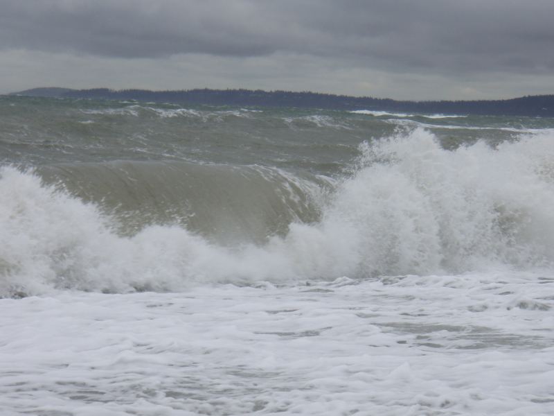 Russian Dood gybing in the IV Bay....ah, Andrey??
