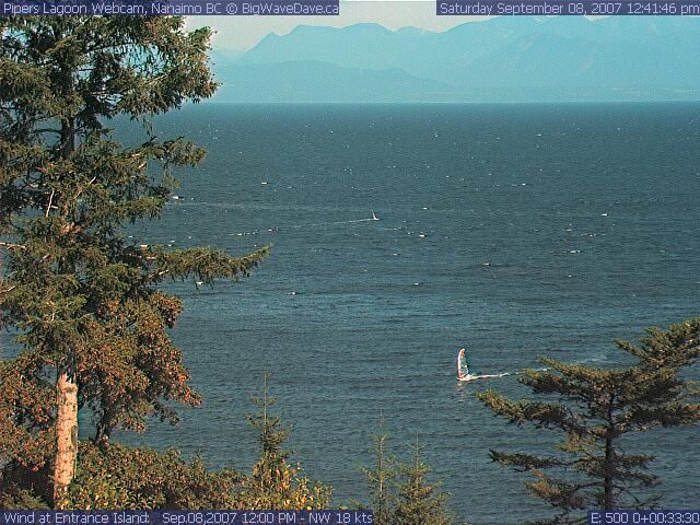 Indian Dog taking a deserved Break
Yeah, you've been a good doggie! We'll get you some new wings!!
