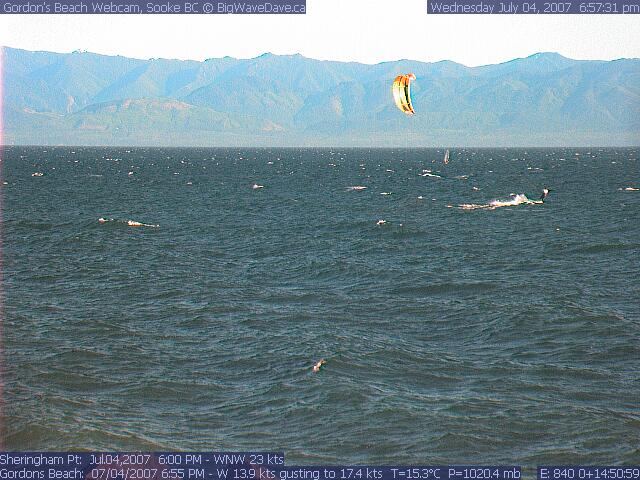 Watsons get some
should have gone to Gordens
